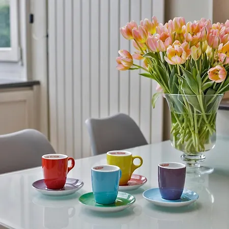 Vakantievilla Met Luxe En Sauna In Duinenreservaat Villa