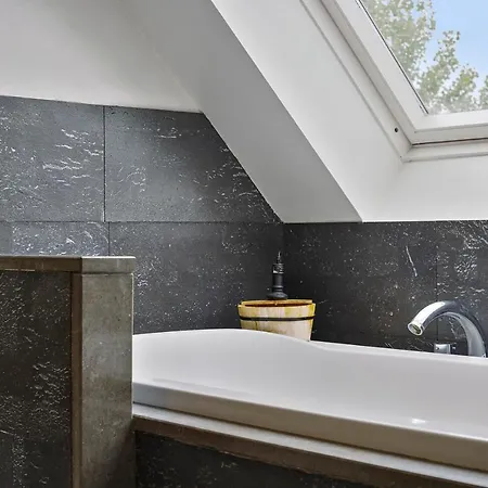 Vakantievilla Met Luxe En Sauna In Duinenreservaat