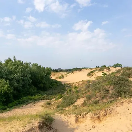 Vakantievilla Met Luxe En Sauna In Duinenreservaat * 코크시데