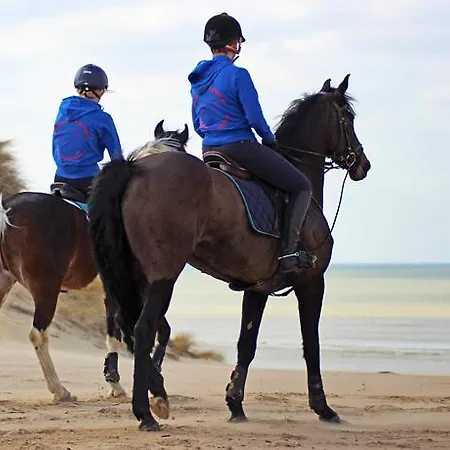 Villa Vakantievilla Met Luxe En Sauna In Duinenreservaat