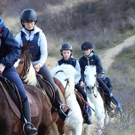 Vakantievilla Met Luxe En Sauna In Duinenreservaat Villa *