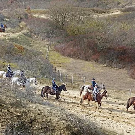 Vakantievilla Met Luxe En Sauna In Duinenreservaat